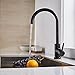 TRYWELL Black Stainless Steel Bar Faucet T304 Solid Stainless Steel High Arc Single Lever One Hole