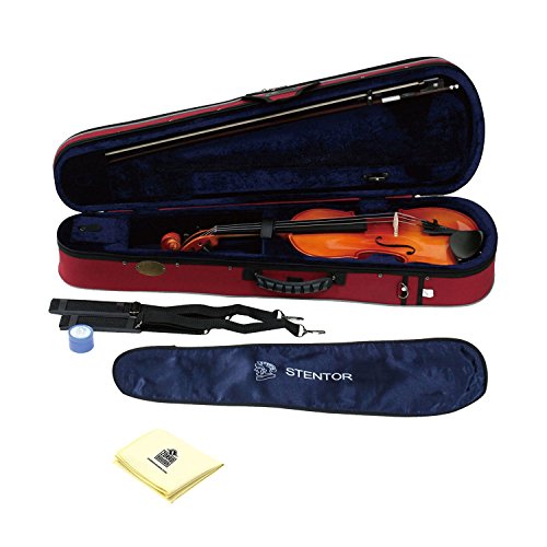 The 5 Best Acoustic Violins 2022 Official Top 5 Review