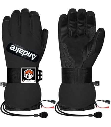 Burton Mens' Gondy Gore-TEX Leather Ski & Snowboard Winter Gloves