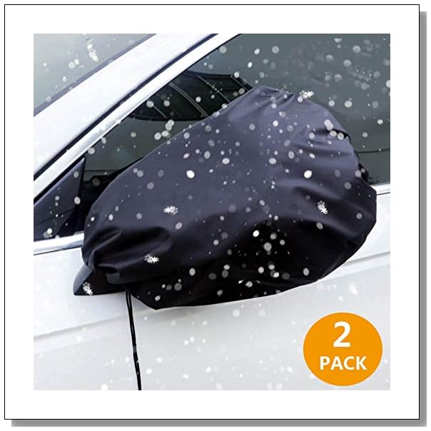 Ways to Prevent Birds from Pooping on a Car BLUE CRYSTAL SKY