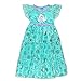 Disney Frozen Elsa Anna Girls' Fantasy Gown Nightgown Pajamas (3T, Blue/Purple)