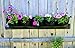 Delectable Garden 5 Pocket Waterproof Hanging Vertical Horizontal Indoor/Outdoor Wall Planter, Herb Garden, Flower Garden, for Yard, Kitchen, Home Decor