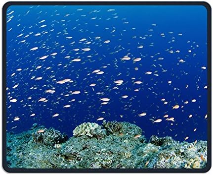 Fork-tailed Threadfin Bream Mat With Smooth Surface And Stitched Edges,Office,game Necessary,good Partner Mouse,18x22cm Mouse Pad