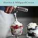 Professional Grade 1 Pint Whipped Cream Dispenser - 100% Stainless Steel Whipped Cream Maker Includes 3 Decorating Tips & Cleaning Brush