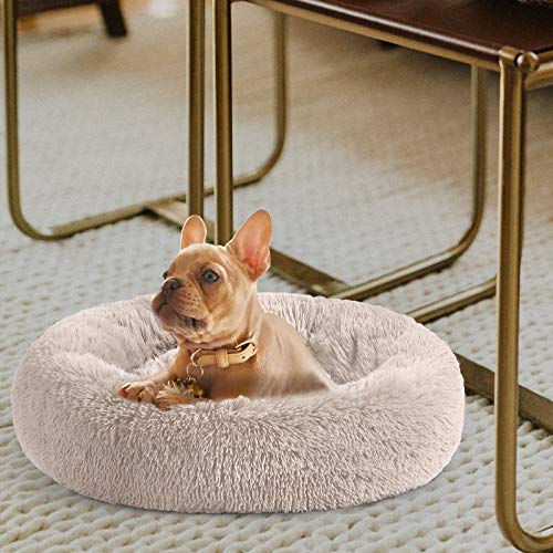 keter dog bed