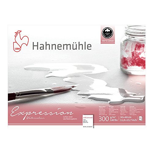 Hahnemuhle Expression Watercolor Block Cold Pressed 11.7x15.6 inches 20 Sheets