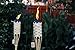 TIKI Brand 1118137 Easy Pour 12-Pack Torch Bamboo Classic Weave Brown, Decorative Torches for Outdoor Lawn, Patio and Garden, Weather Resistant, 57 in