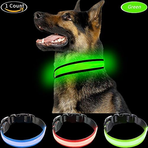 PetIsay Dog Collar Light - USB Rechargeable with Water Resistant - Available in 3 Colors &amp; 3 Sizes - Fashion Light up Collar Makes Your Dog Visible, Safe &amp; Seen - Neon Green, Medium(17-20.9/43-53cm