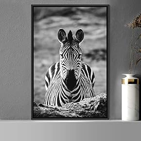 signwin Framed Canvas Wall Art Duotone Zebra Animals...