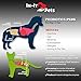 In-It Pets All Natural Probiotics for Dogs and Cats by Top Quality Dog Probiotics to Relieve Allergies, Constipation, Bad Breath, Gas, and Diarrhea, 2 Billion CFU per Scoop, 5 oz Container