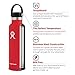 Hydro Flask Standard Mouth Water Bottle, Flex Cap - 18 oz, Frost