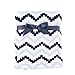 Hudson Baby Unisex Baby Super Plush Blanket, Chevron, One Size