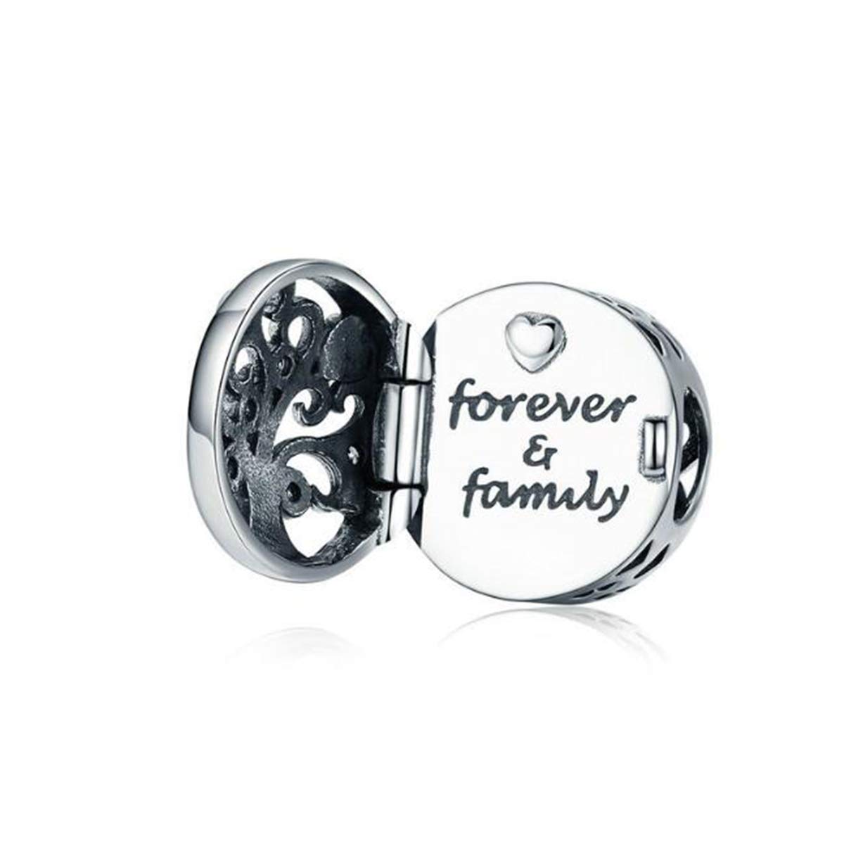I Love My Family Mom Daughter Sister Charms Sterling Silver Letter Charms for Bracelets Birthday Christmas Gifts for Her (Forever Family Charm)