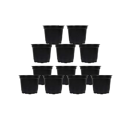 Kraft Seeds Pushp 6 Inch Black Gamla/Planter Pack of 12, with Red Bottom Plate/Tray 12 Pieces