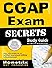CGAP Exam Secrets Study Guide: CGAP Test Review for the Certified Government Auditing Professional Exam