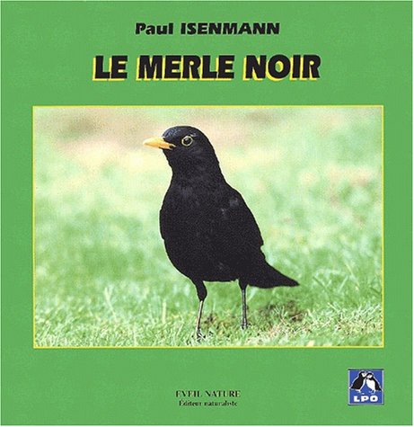 Le  merle noir