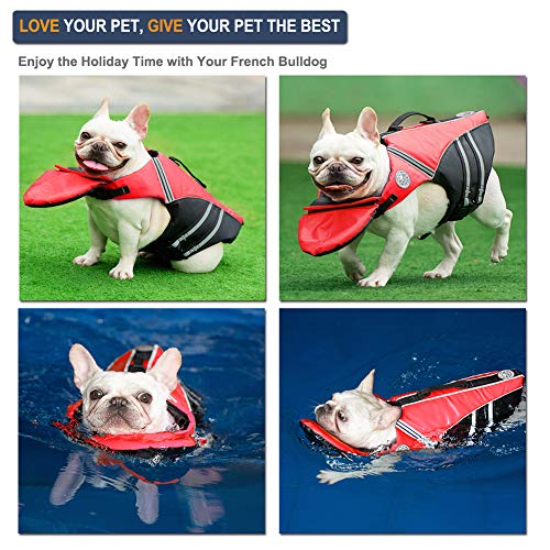 frenchie life jacket
