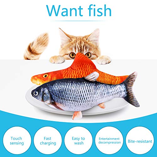 cat entertainment fish