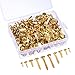 WILLBOND 500 Pieces Brass Plated Paper Fasteners Round Metal Brads with Storage Box Assorted Size Brads (Gold)