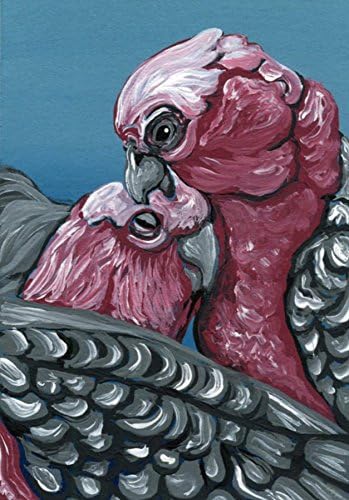 ACEO Original Painting-Galah Cockatoo Parrots Bird-Wildlife Art-Carla Smale
