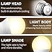 AISIRER Wi-Fi LED Light Bulb, Smart Light Bulbs, Dimmable Smart Bulb, Voice Control Smart Bulb Compatible with Alexa, 60 Watt Equivalent, 2700K, E26, A19, No Hub Required 4 Pack (Only 2.4Ghz Wi-Fi)