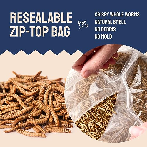 Hatortempt 10lbs Bulk Dried Mealworms Premium NonGMO Organic Chicken