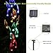 OxyLED Colorful Solar Powered Garden Tree Shaped Stake Light, 3 Tree Branches With 60 LEDs, RGB Light