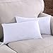 Homelike Moment Feather Down Throw Pillow Insert 12X20 Couch Pillow Inserts Set of 2 12x20 in