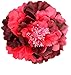 HC-01 Floral Fall Peony Flower Hair Clip Flamenco Dancer Pin up Flower Brooch (Burgundy)