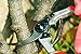 Felco Pruning Shears (F 13) – High Performance Swiss Made One-Hand or Two-Hand Garden Pruner with Steel Bladethumb 3
