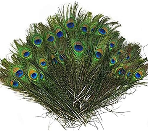 Ddfly 100pcs Natural Peacock Feathers Peacock Tail Eyes Feathers DIY Arts Crafts Decorations Wedding Halloween Christmas Party 8-12 Inches