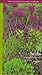 Herbs: A Garden Project Workbook (Garden Project Workbooks) by 