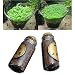 Hot Sale! Aquarium Plant seed Glossostigma elatinoides similar Hemianthus callitrichoides (S)