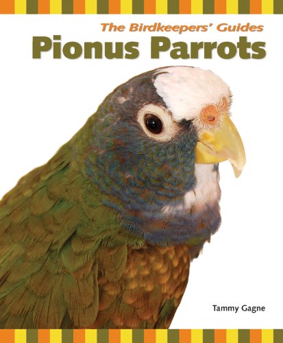 Pionus Parrots (Birdkeepers' Guides) by Tammy Gagne