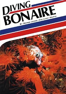 Bonaire shore diving made easy pdf reader