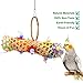 BWOGUE Bird Chewing Toy Parrot Cage Toys Cages Shredder for African Grey Amazon Cockatiel Parakeet
