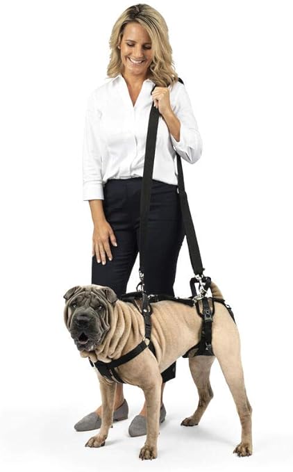 zen cone soft recovery collar