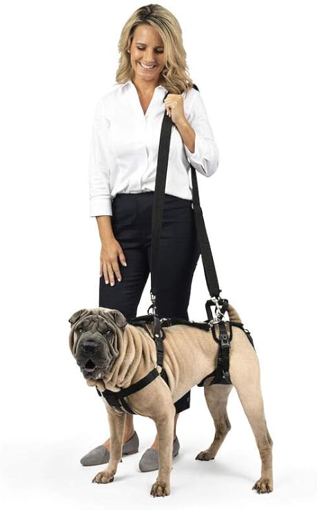 solvit dog seat belt