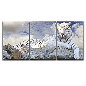 3 Panel White Tiger Lying on The Rock...
