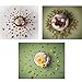 Newborn Photography Props, Newborn Photo Props, Photo Donut （20