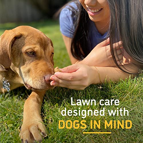 BarkYard UnMark Green Grass Paint and Lawn Spray for Dog Spot Repair