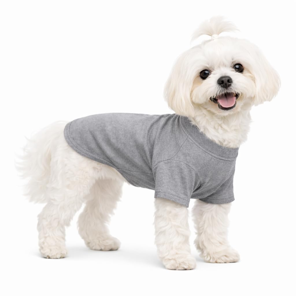 Lovelonglong Pet Clothing Dog Costumes Basic Blank T-Shirt Tee Shirts for Small Dogs Gray XS