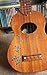 Inlay Stickers for Ukuleles - Honu Family & Tropical Monstera Leaves - Abalone Blue, UK-273HF-BL-AZ