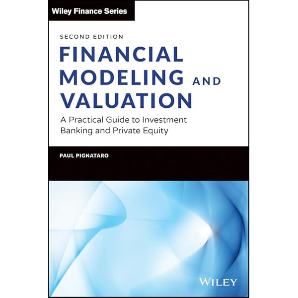 Amazon.com: Financial Modeling, fifth edition eBook : Benninga