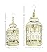 Deco 79 Metal Round Birdcage with Latch Lock Closure and Hanging Hook, Set of 2 22