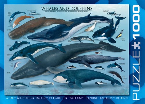 EuroGraphics Whales and Dolphins Puzzle (1000-Piece)