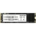 Gigastone M.2 SSD 128GB SATA III 500MB/s Upgrade Laptop PC Memory and Storage M.2 2280 Internal Solid State Hard Drives SLC Cache 3D NAND Increase Performance