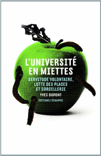 L' université en miettes