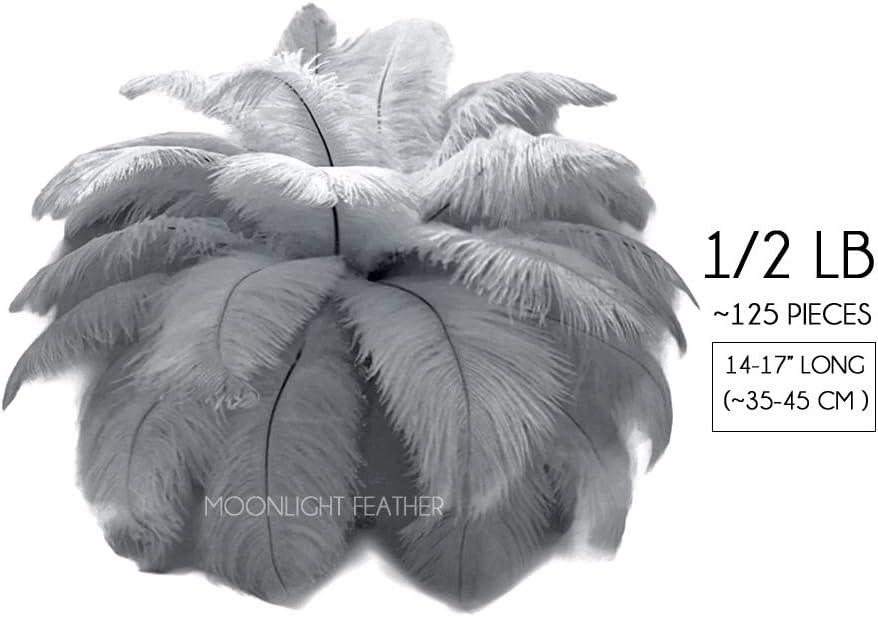 1/2 lb. - 14-17" Silver Gray Ostrich Large Body Drab Wholesale Feathers (Bulk) Party Centerpiece Costume Supply | Moonlight Feather