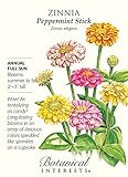 Peppermint Stick Blend Zinnia Seeds - 750 mg
